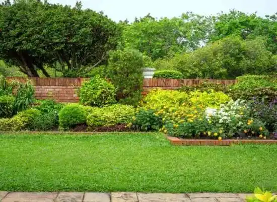 landscaping services Campbell